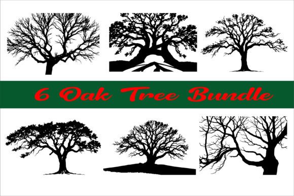 Premium Oak Tree Bundle for Landscape Design