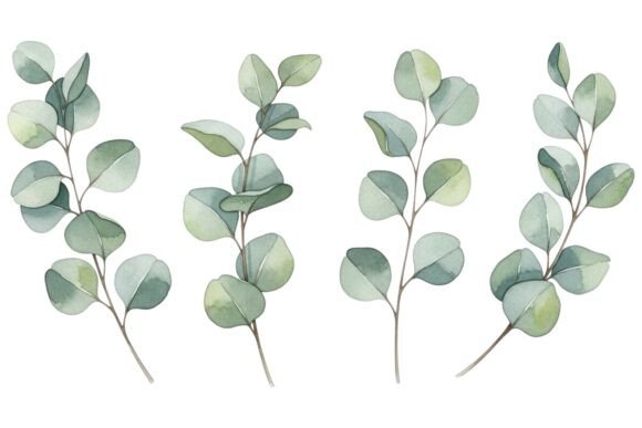 Watercolor Eucalyptus Branch Set